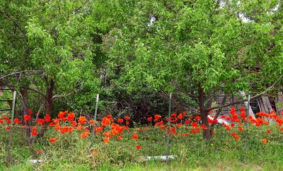 IMG_0793.jpg