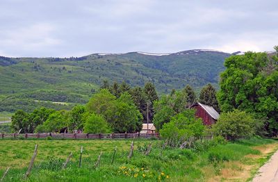 IMG_0796.jpg
