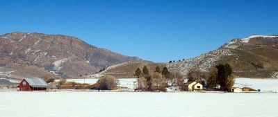 IMG_9195.jpg