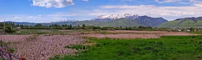 pano.jpg