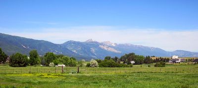 IMG_0837.jpg