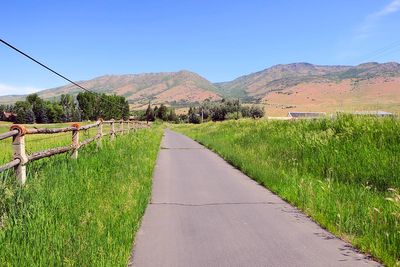 IMG_0843.jpg
