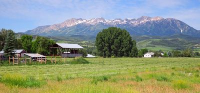 IMG_0848.jpg