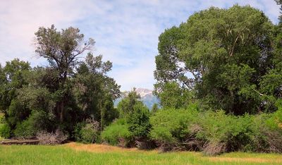 IMG_0856.jpg