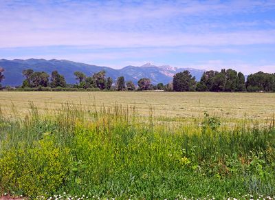 IMG_0859.jpg