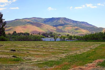 IMG_0876.jpg