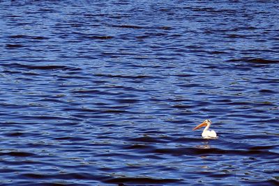 IMG_0887.jpg