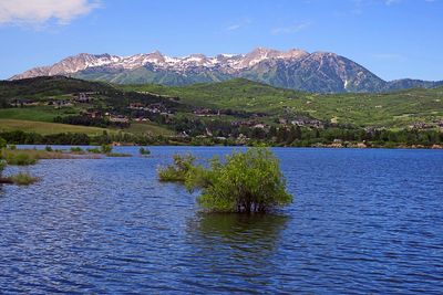 IMG_0888.jpg