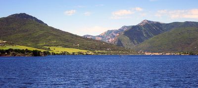 IMG_0890.jpg