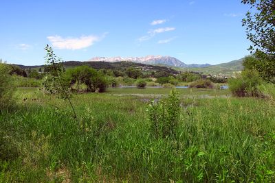 IMG_0891.jpg