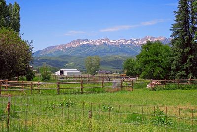 IMG_0896.jpg