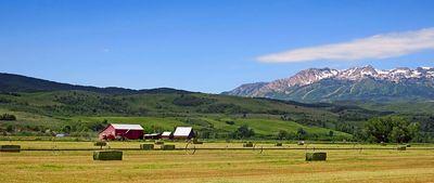 IMG_0898.jpg