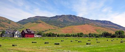 IMG_0921.jpg