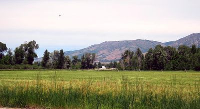 IMG_0930.jpg