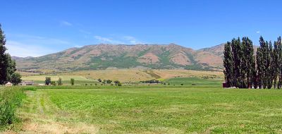 IMG_0943.jpg