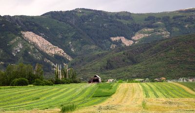 IMG_0952.jpg