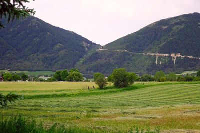 IMG_0953.jpg