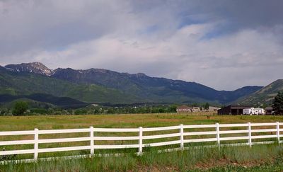 IMG_0958.jpg