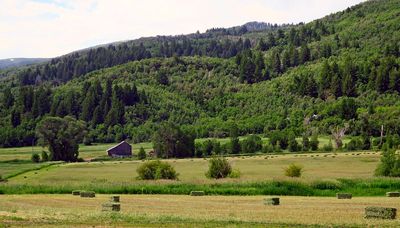 IMG_0963.jpg