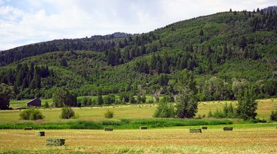 IMG_0966.jpg