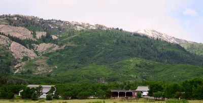 IMG_0970.jpg