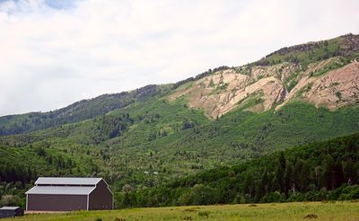 IMG_0972.jpg