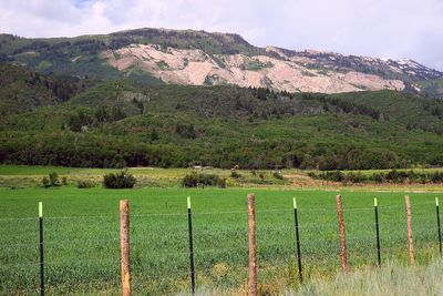 IMG_0974.jpg