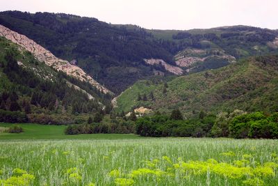 IMG_0979.jpg