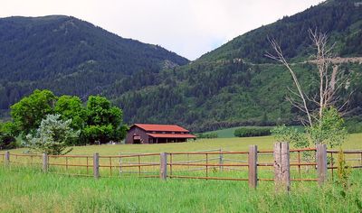 IMG_0981.jpg