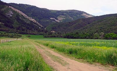 IMG_0982.jpg