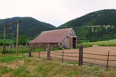 IMG_0984.jpg