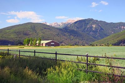 IMG_0993.jpg