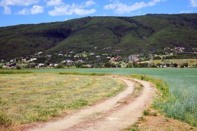 IMG_0995.jpg