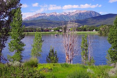 IMG_0998.jpg
