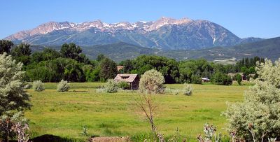 IMG_1016.jpg