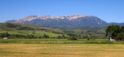 IMG_1040.jpg
