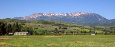 IMG_1043.jpg