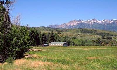 IMG_1044.jpg