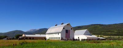 IMG_1059.jpg