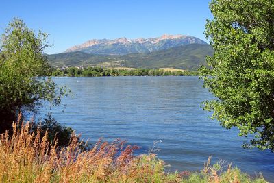 IMG_1079.jpg