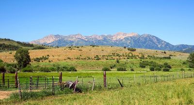 IMG_1081.jpg