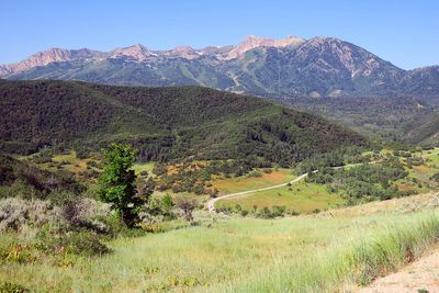 IMG_1109.jpg