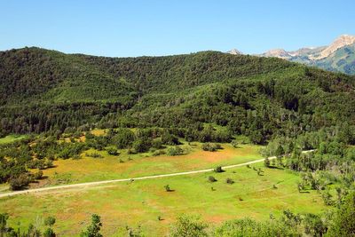 IMG_1115.jpg