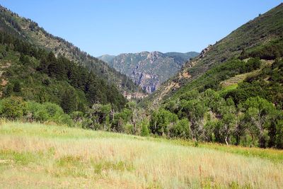IMG_1120.jpg