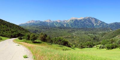 IMG_1123.jpg