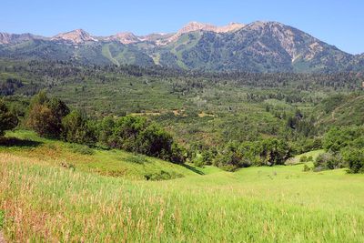 IMG_1124.jpg