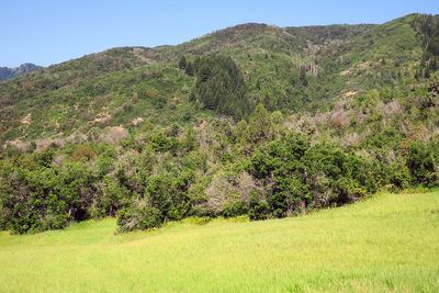 IMG_1126.jpg