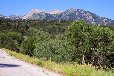 IMG_1127.jpg