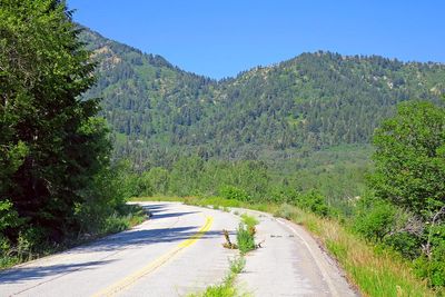 IMG_1129.jpg