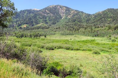 IMG_1130.jpg